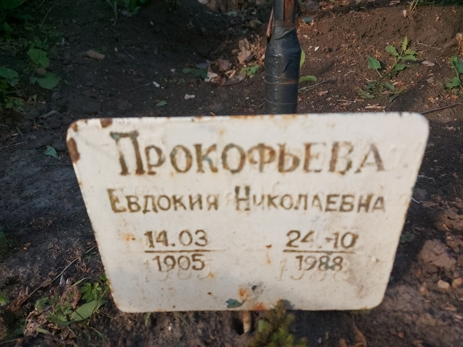 Прокофьева Евдокия Николаевна