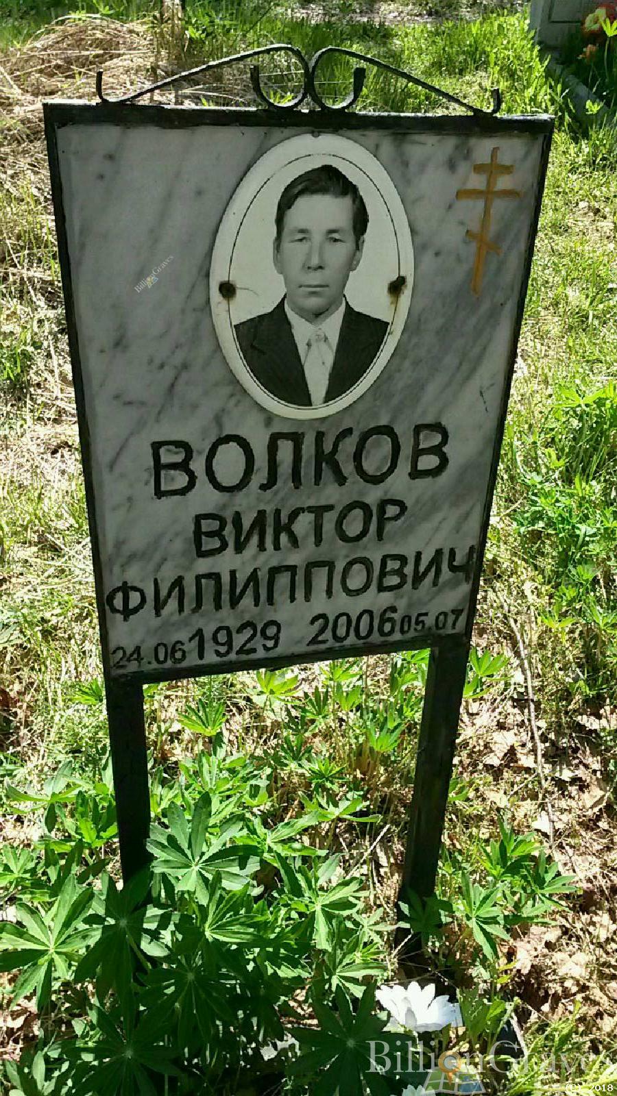 волков виктор филиппович