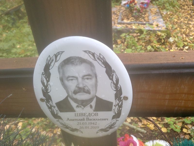 Шведов