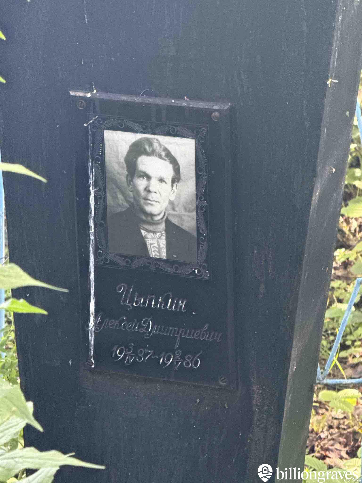 Цыпкин Алексей Дмитриевич