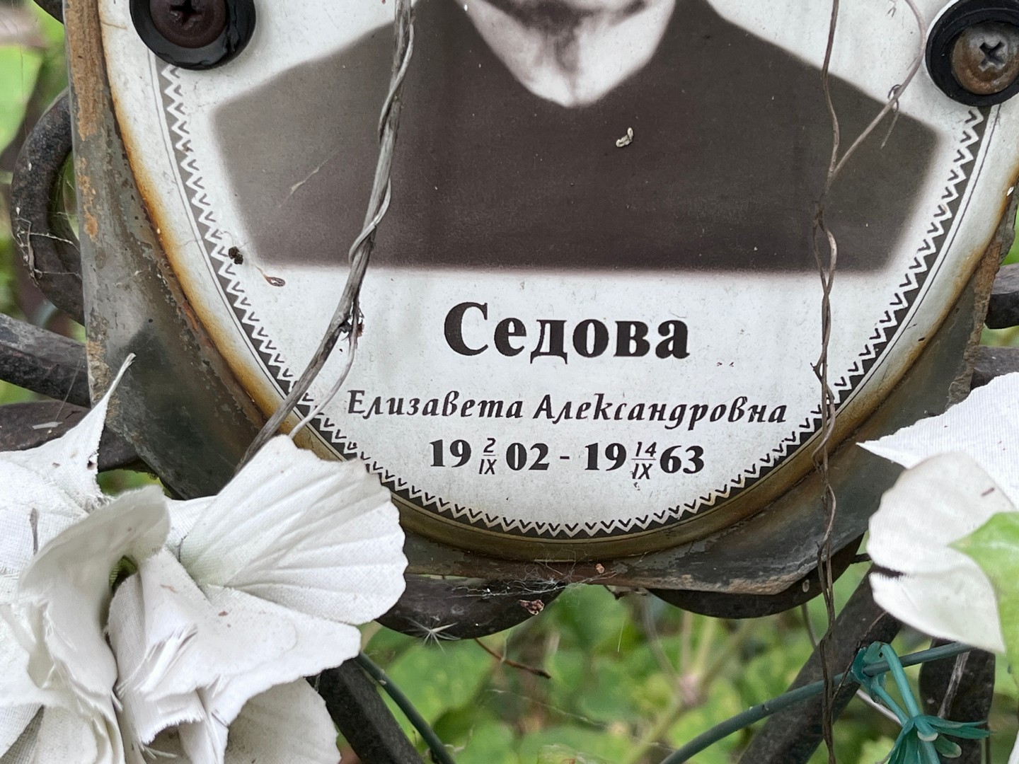 Седова