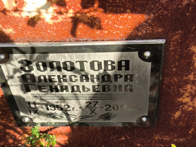 Золотова Александра Геннадьевна