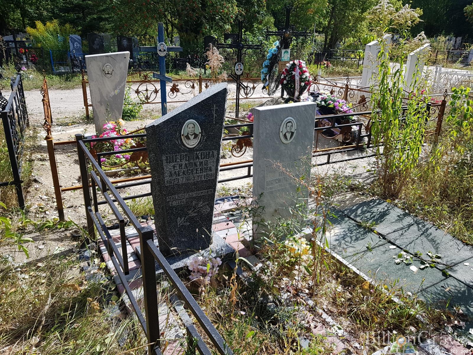 Щербаков Пётр Васильевич