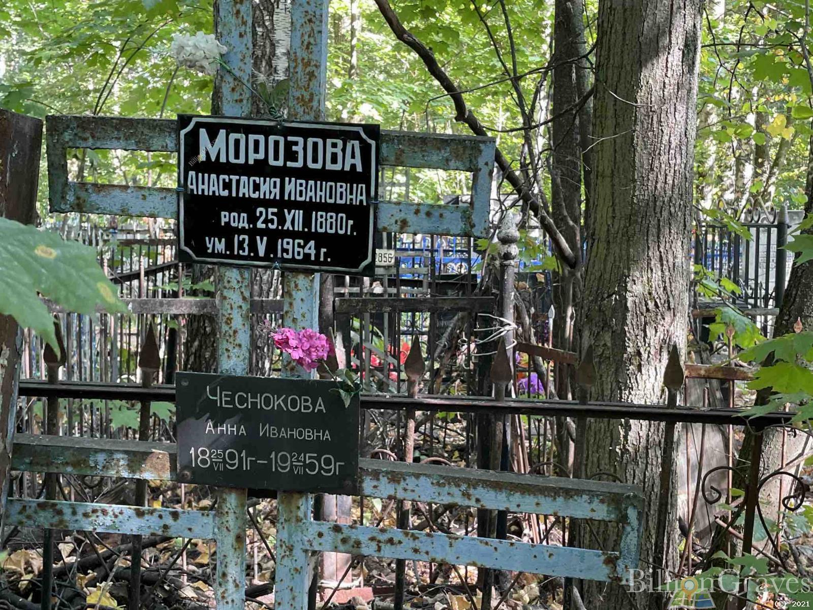 Морозова Анастасия Ивановна