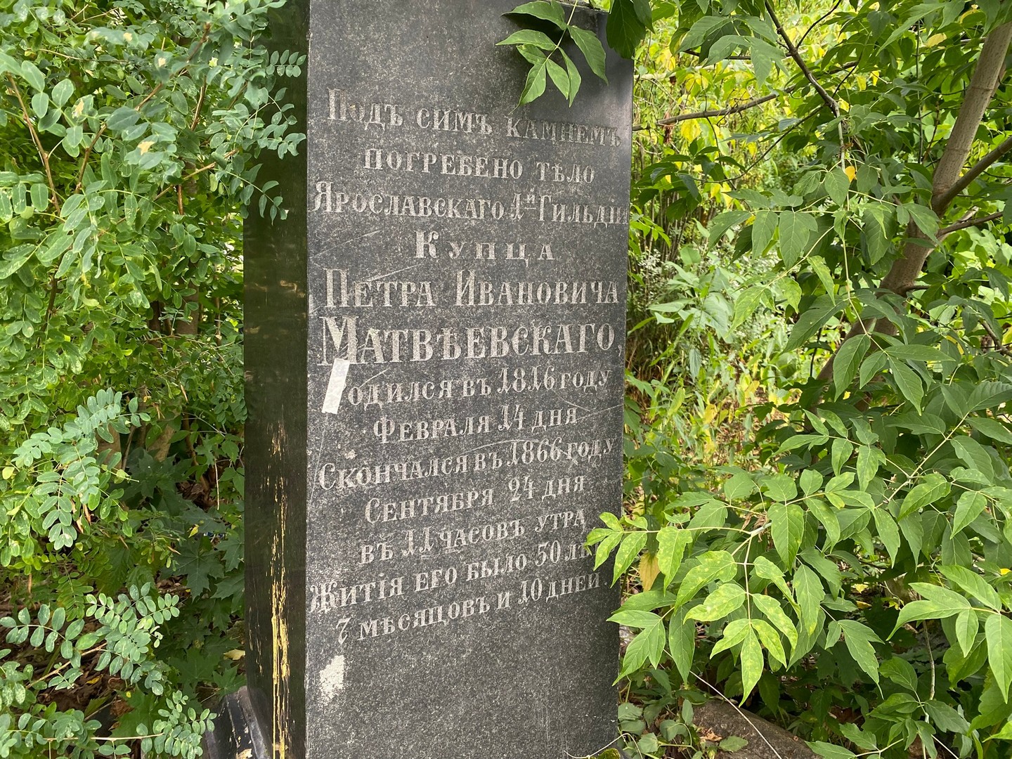 Матвеевский