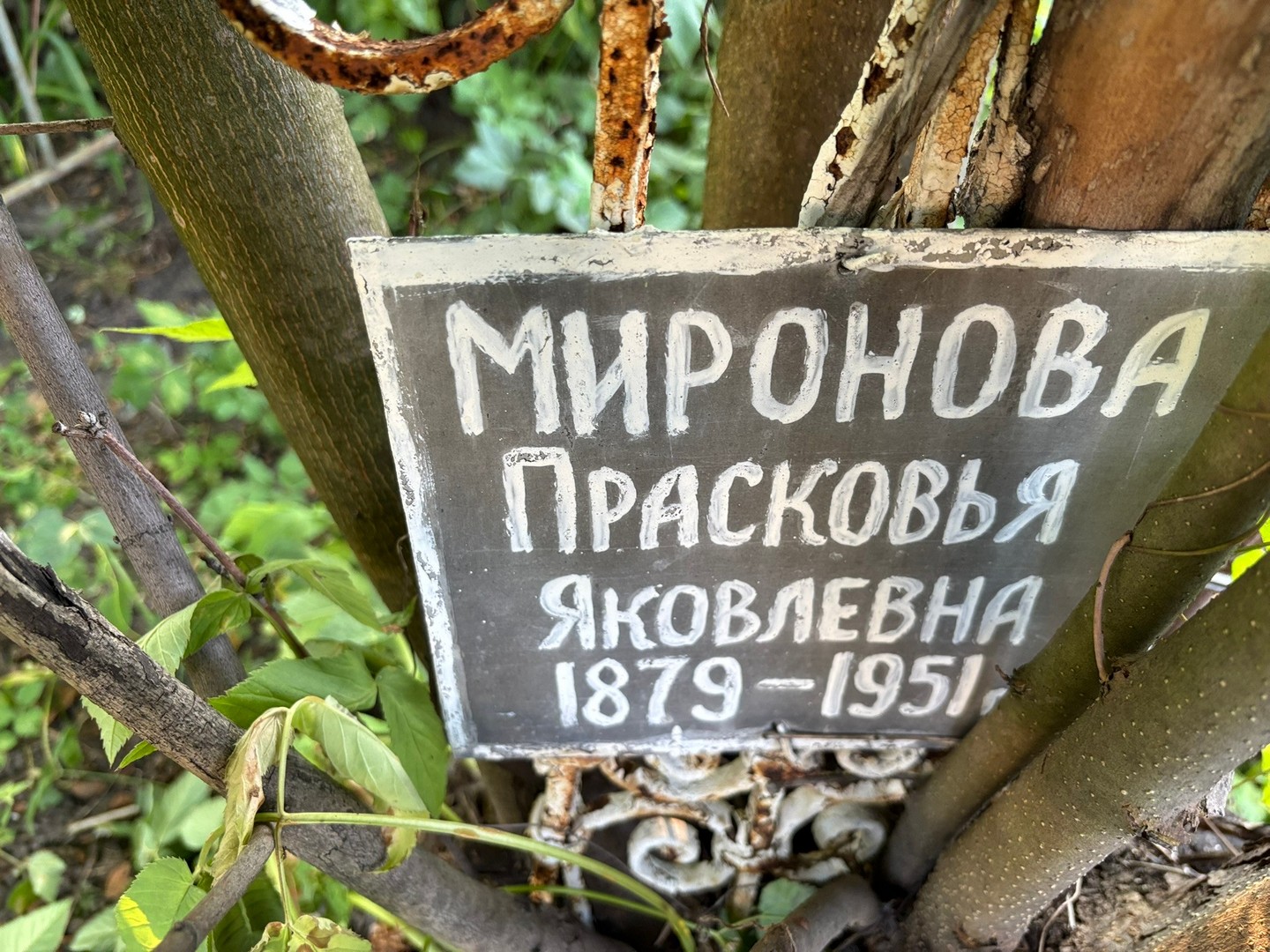 Миронова Прасковья Яковлевна