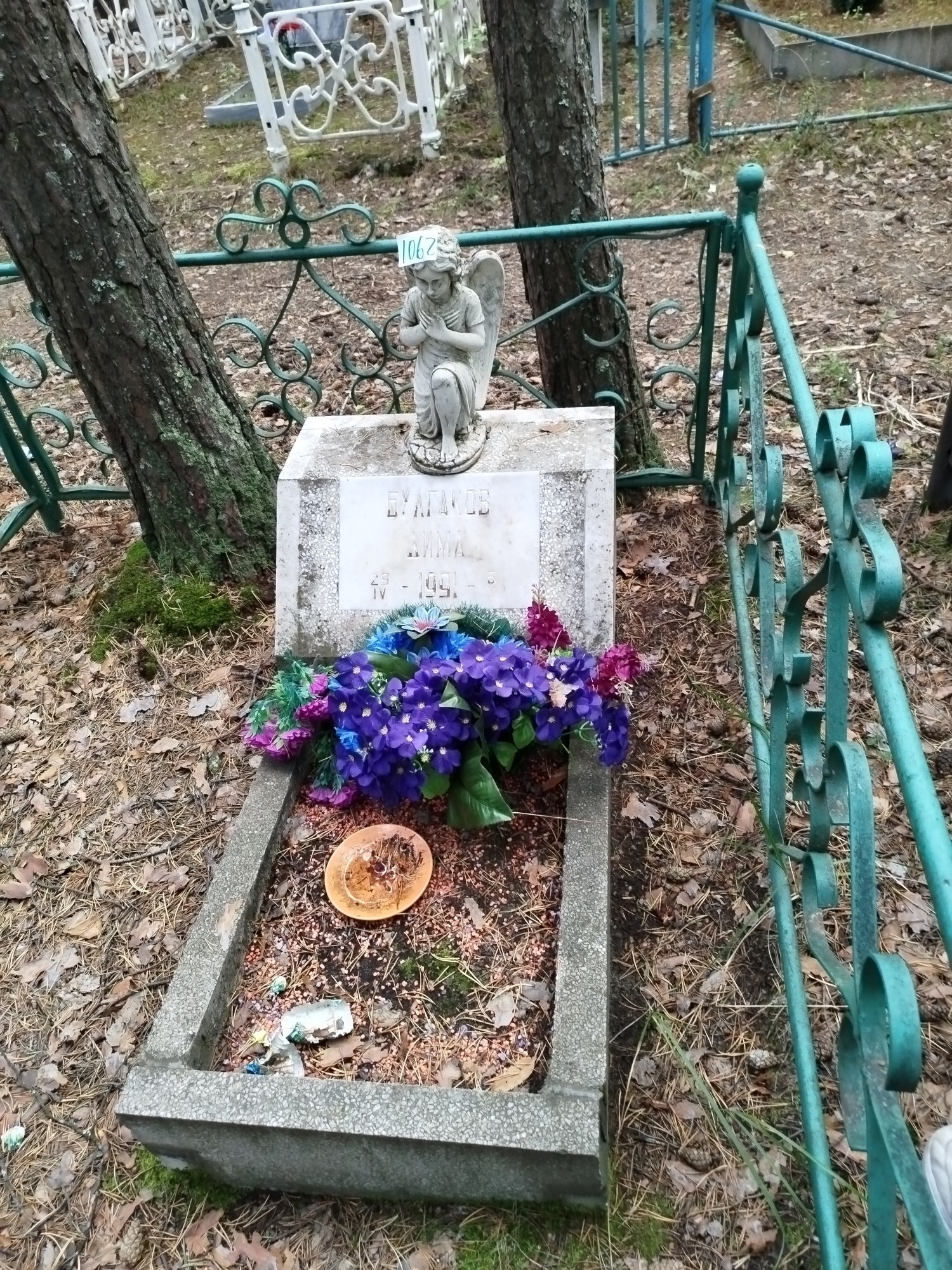Булгаков Дима