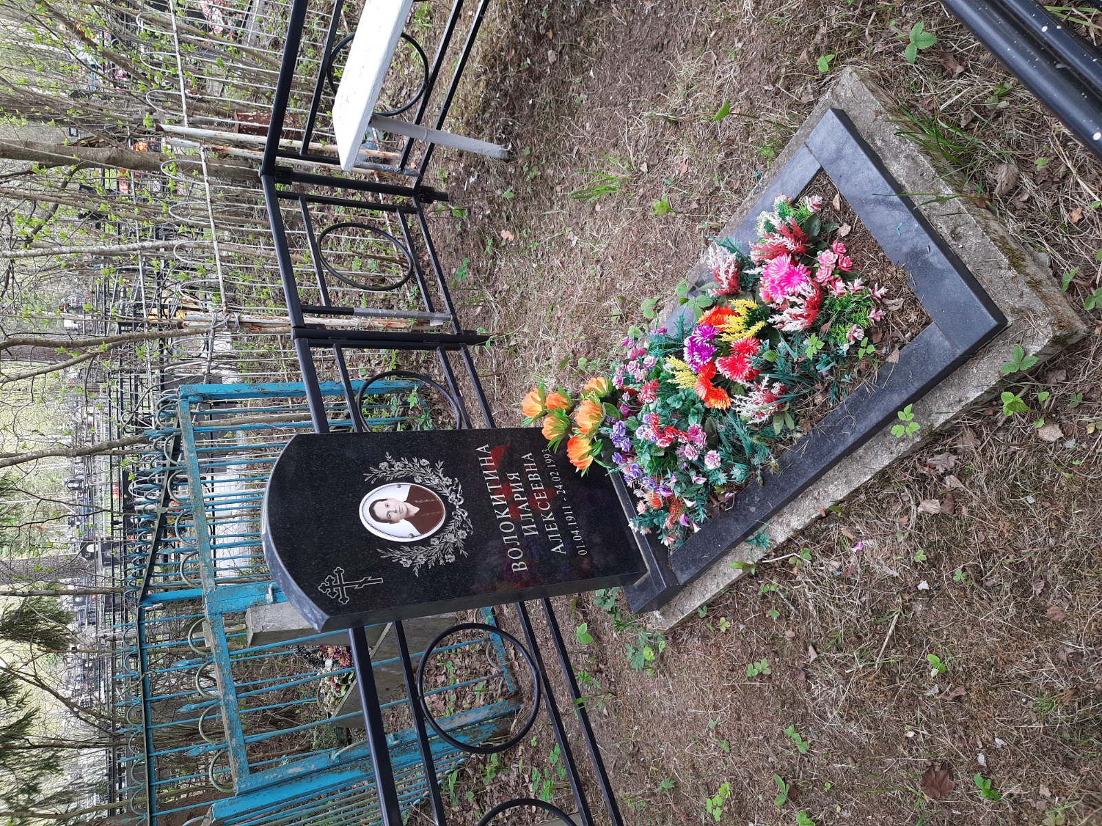 Волокитина Илария Алексеевна