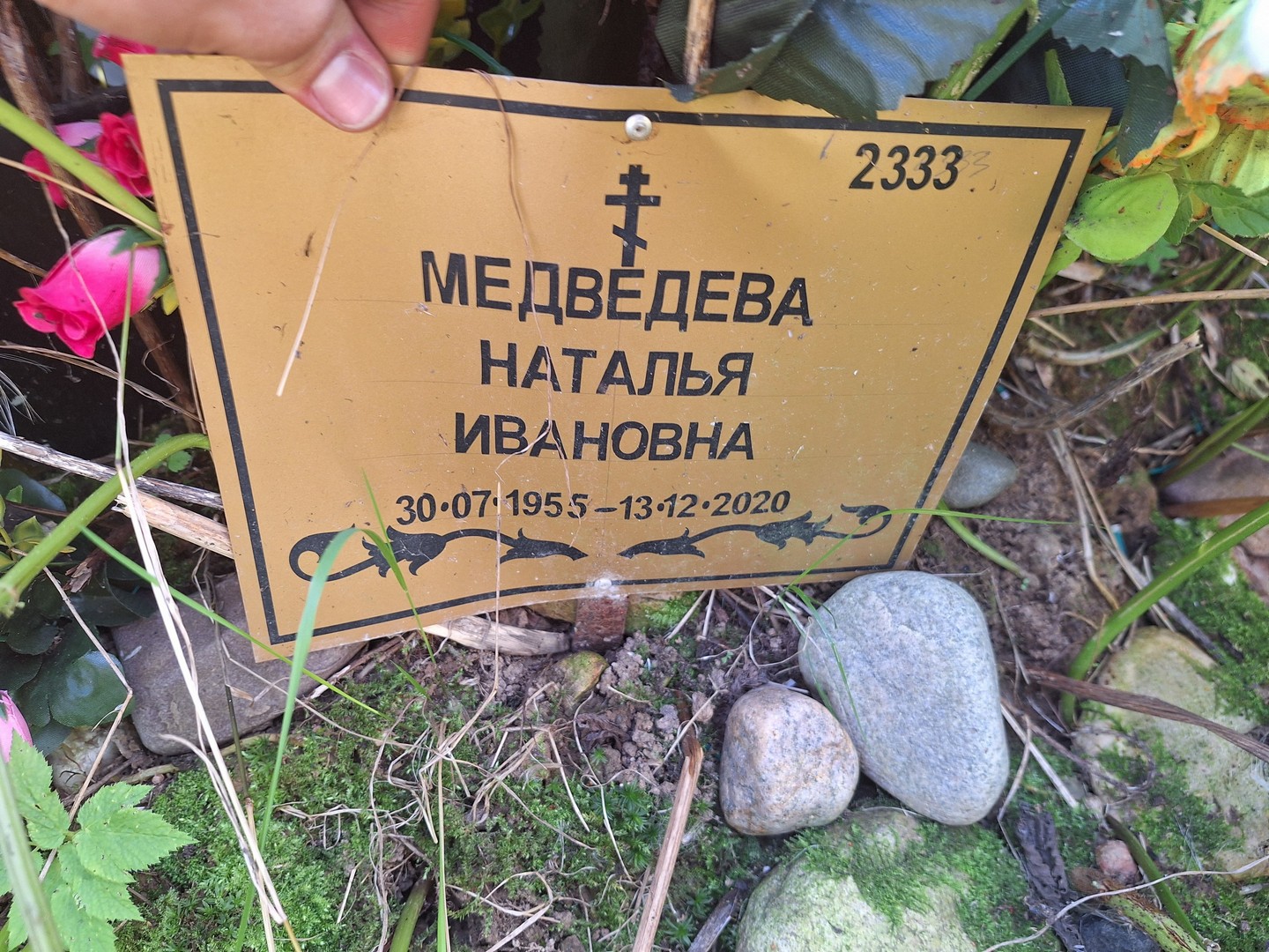 Медведева