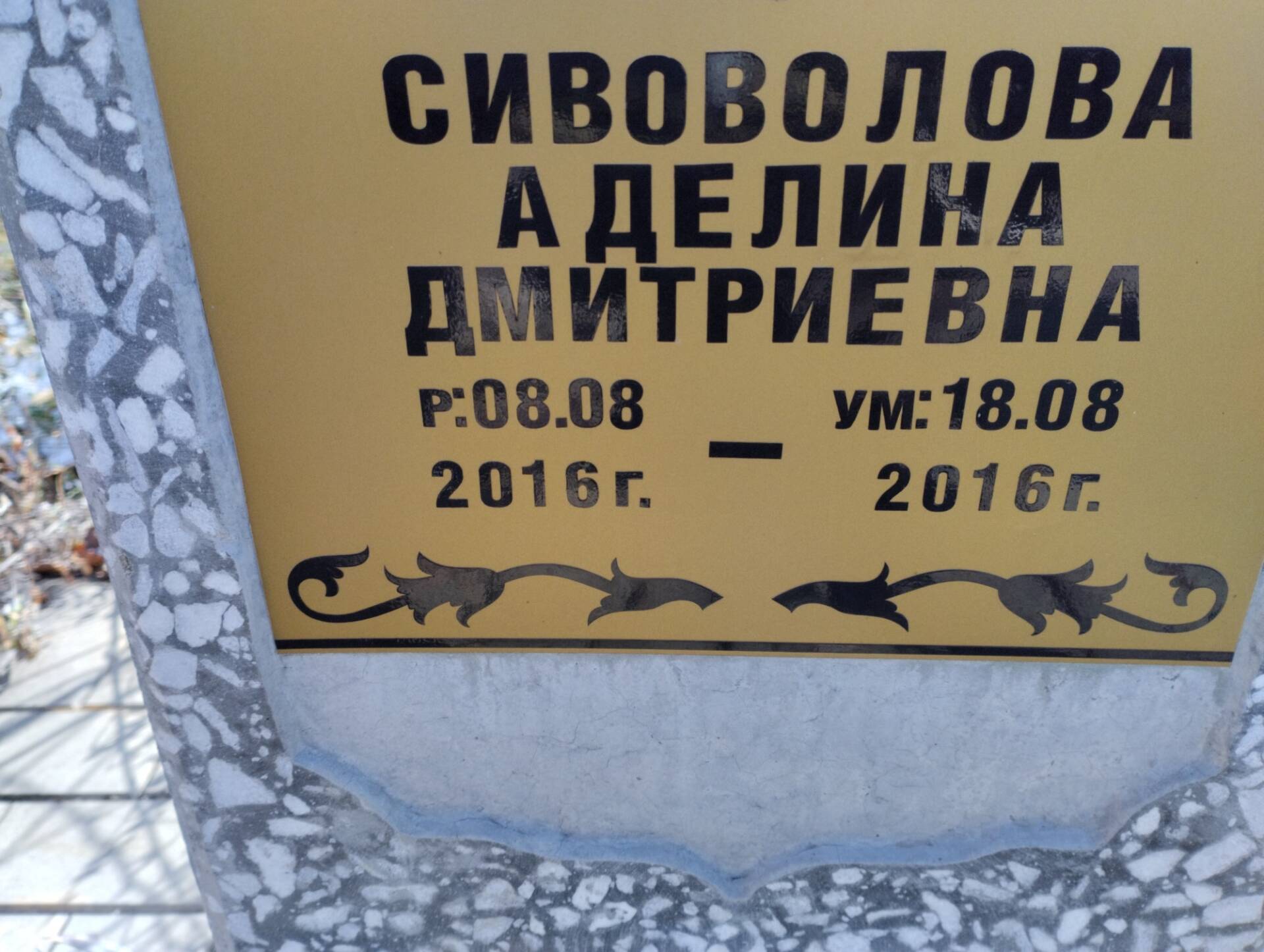 Сивоволова Аделина Дмитриевна