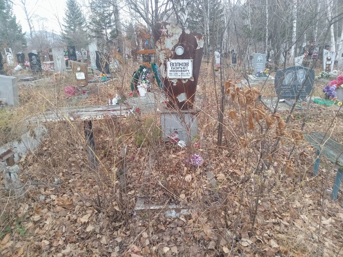 Волков Борис Иванович