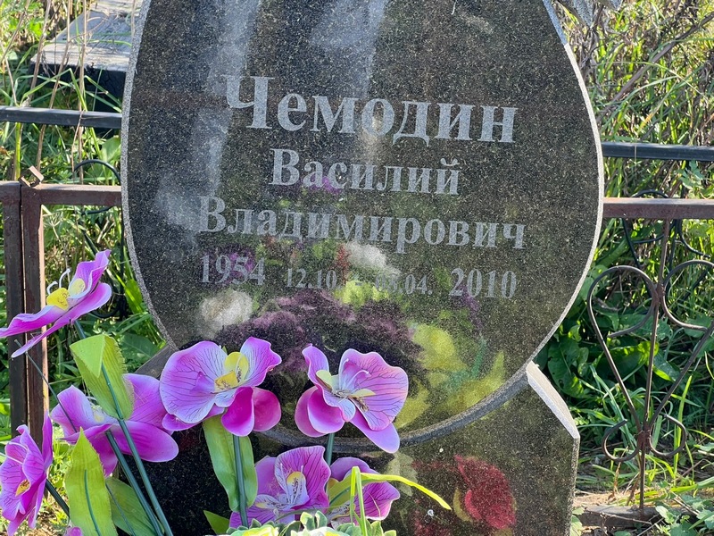 Чемодин