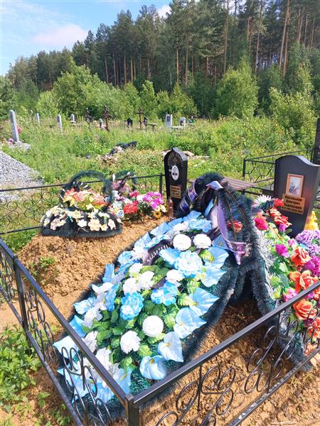 Васеньков Дмитрий Вадимович