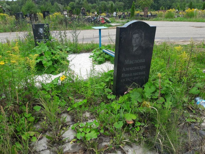 Маслова Александра Николаевна