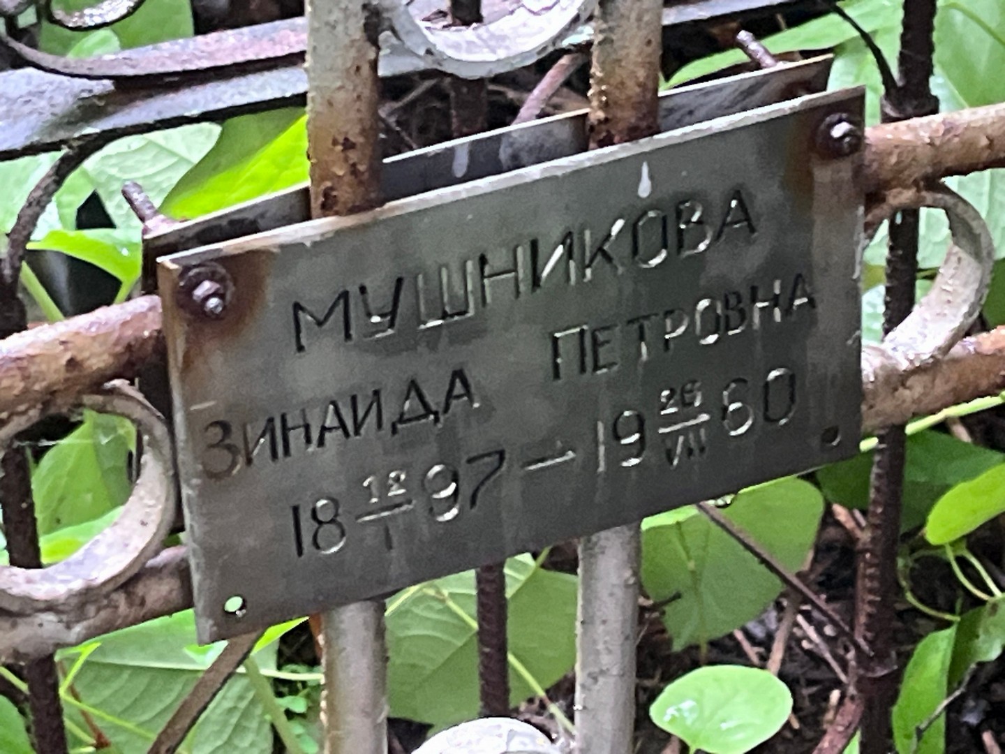 Мушникова