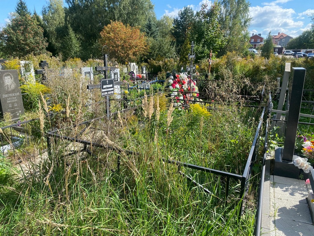 Дмитриевский Николай Александрович