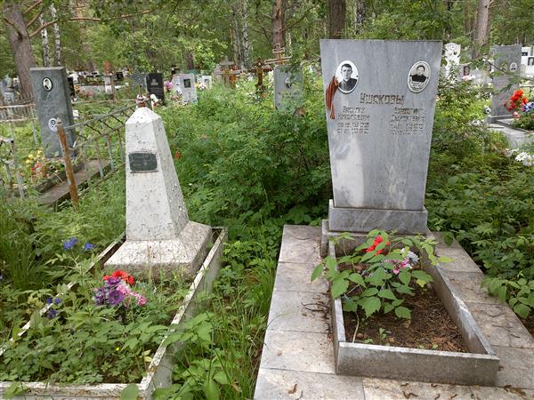 Ушаков Василий Николаевич