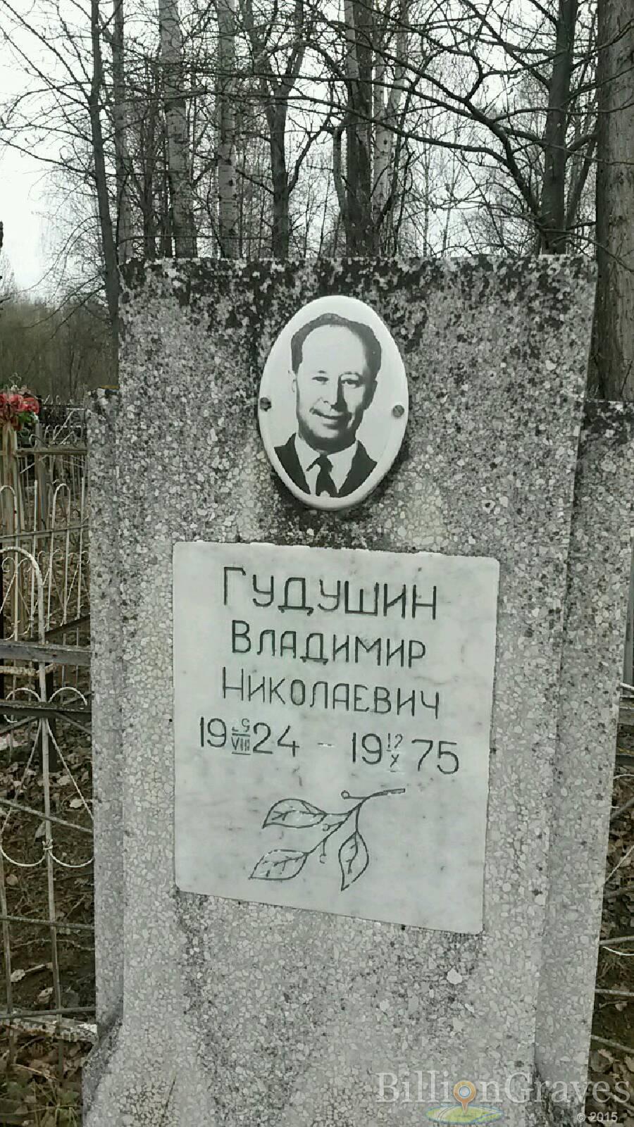 Гудушин Владимир Николаевич