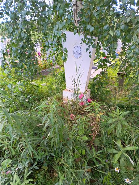 Бердников Олег Владимирович