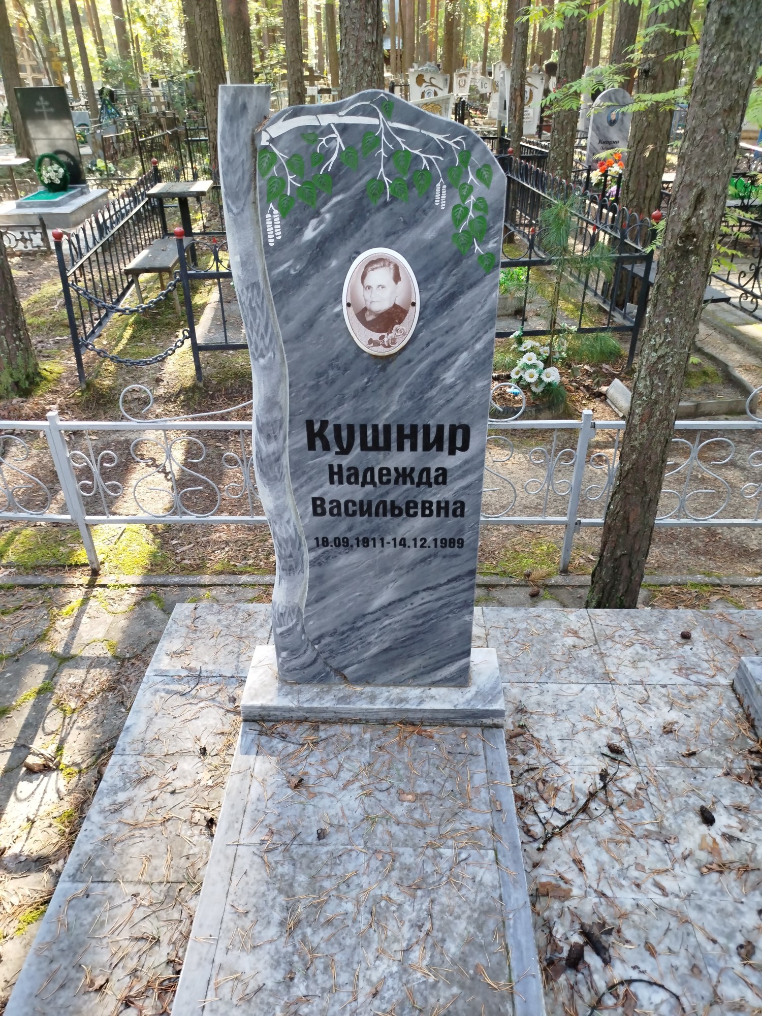 Кушнир Надежда Васильевна