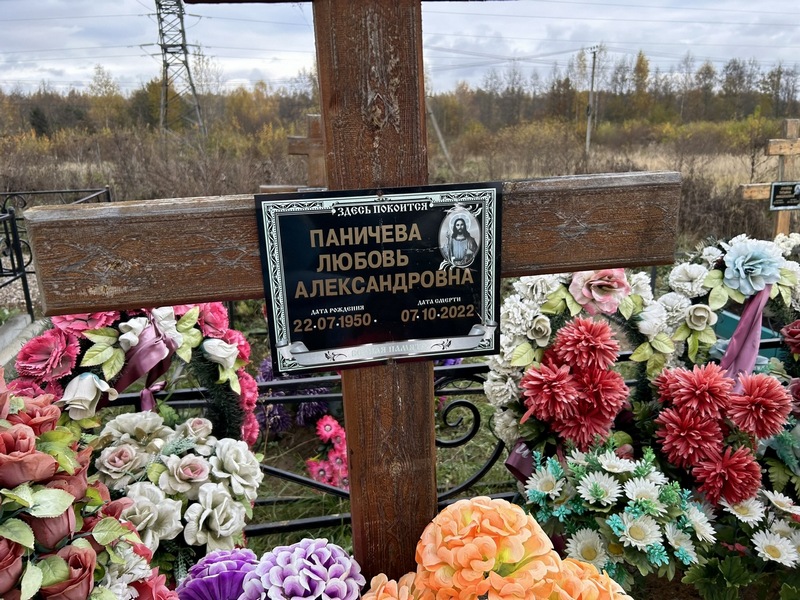 Паничева