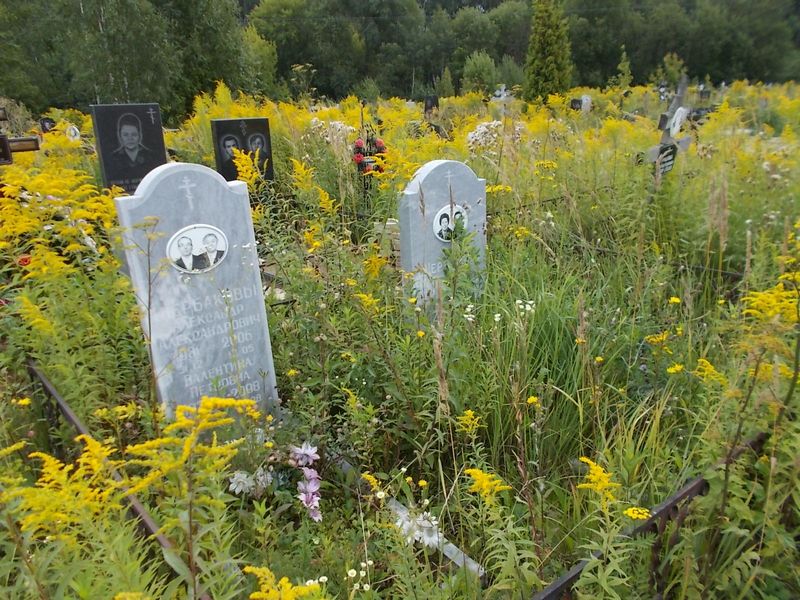 Щербаков Александр Александрович