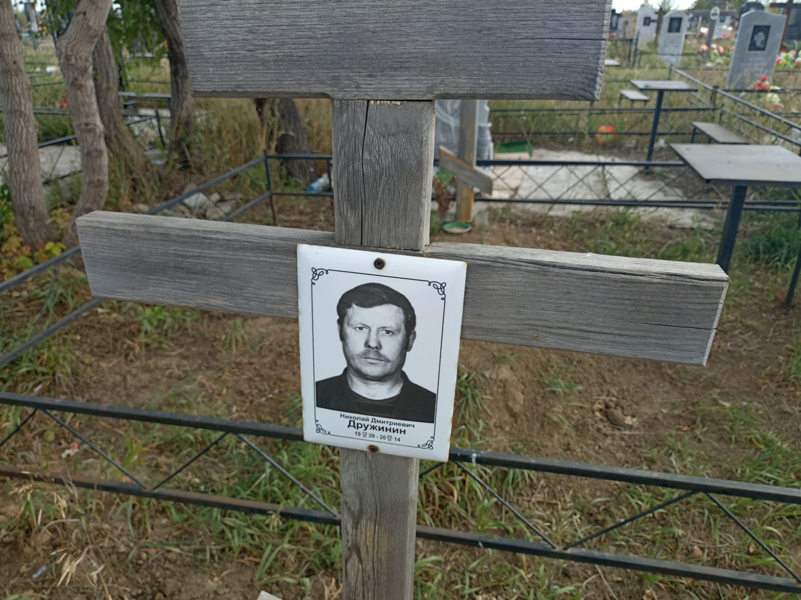 Дружинин Николай Дмитриевич