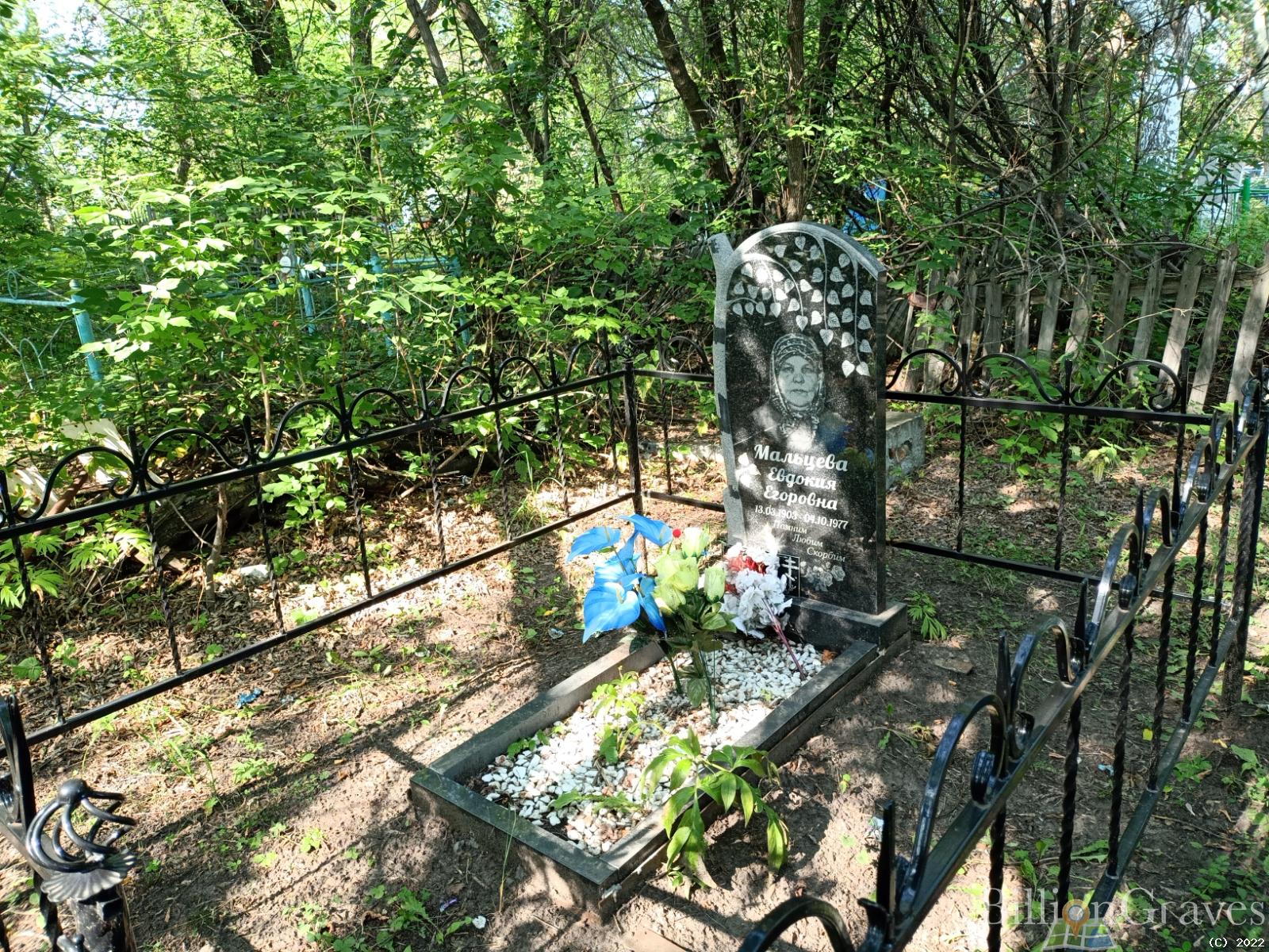 Мальцева Евдокия Егоровна