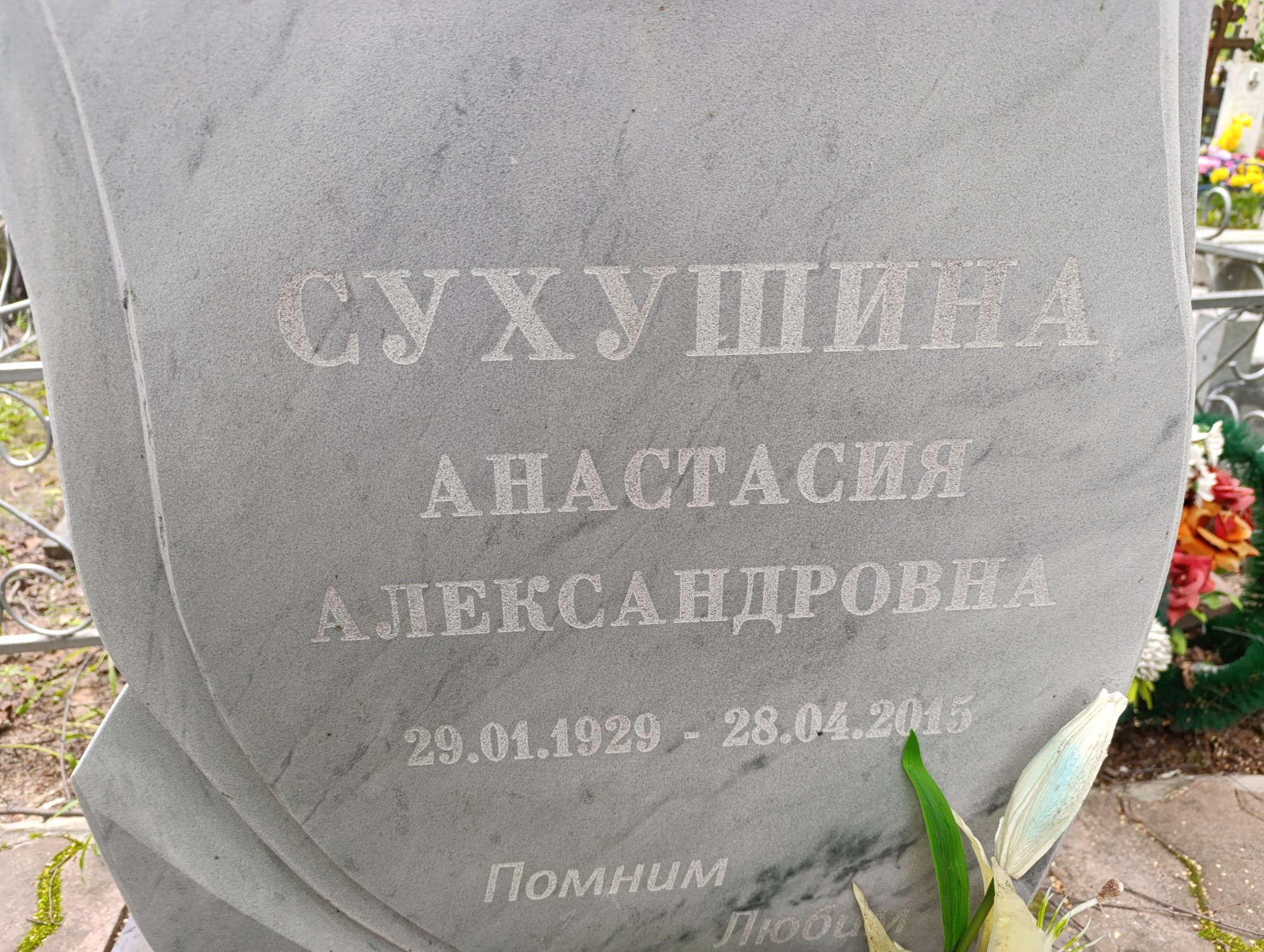 Сухушина Анастасия Александровна