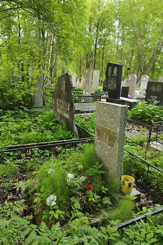 Карповская Л. А.