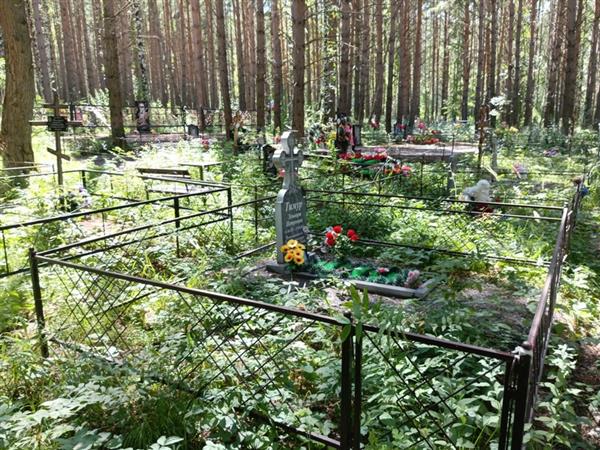 Тимур Эльвира Петровна