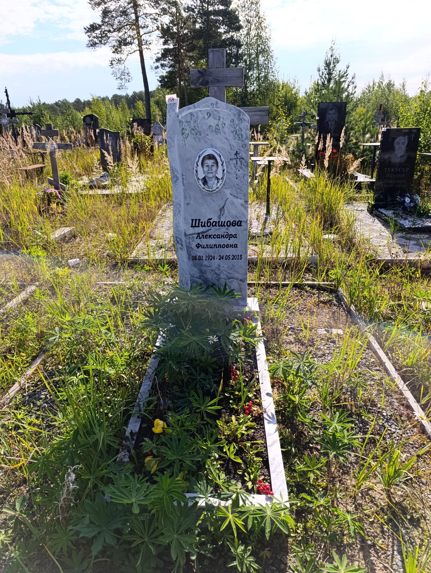 Шибашова Александра Филипповна