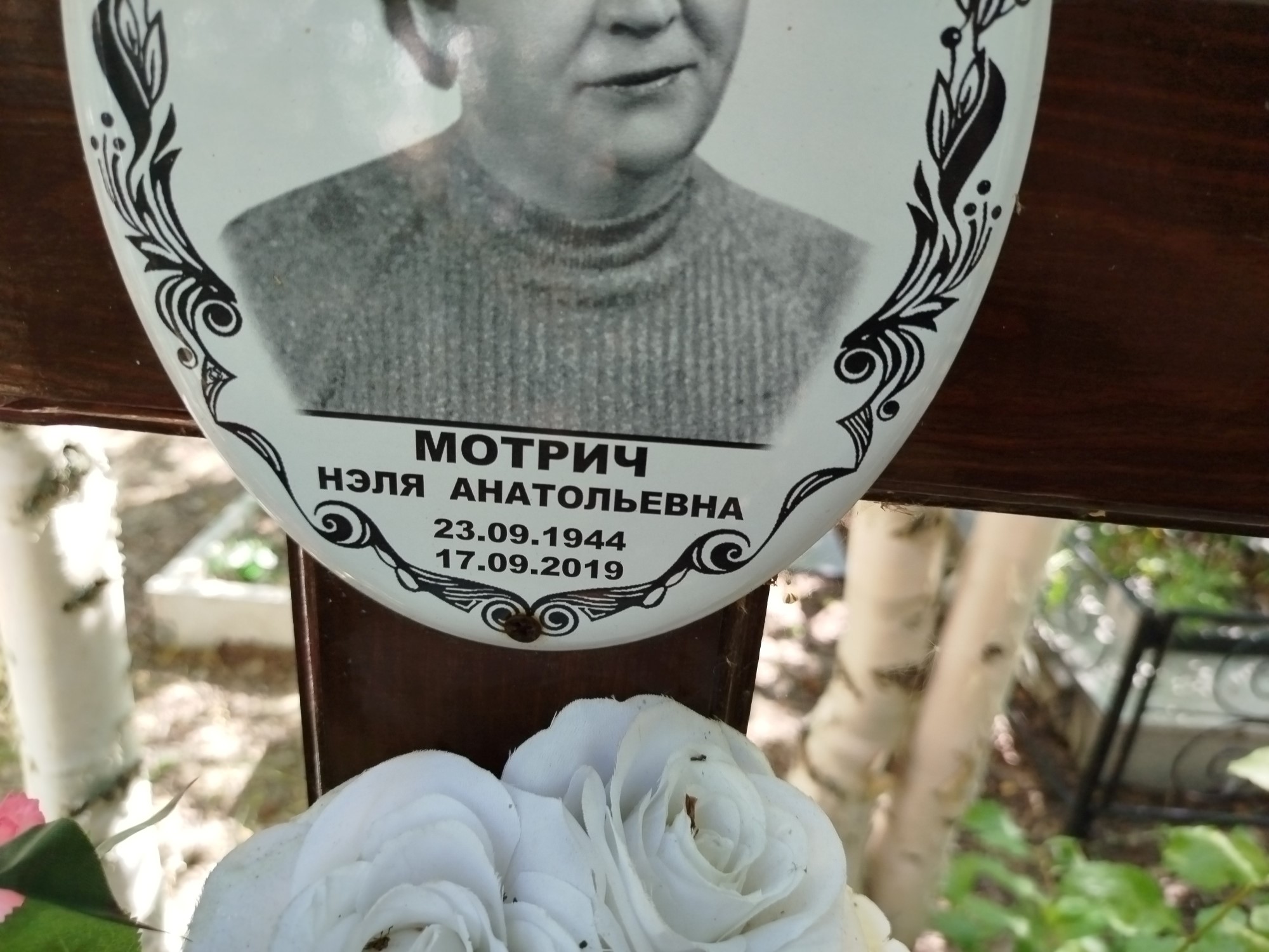 Мотрич Нэля Анатольевна