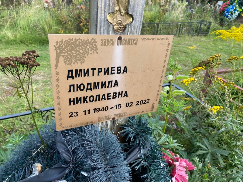 Дмитриева