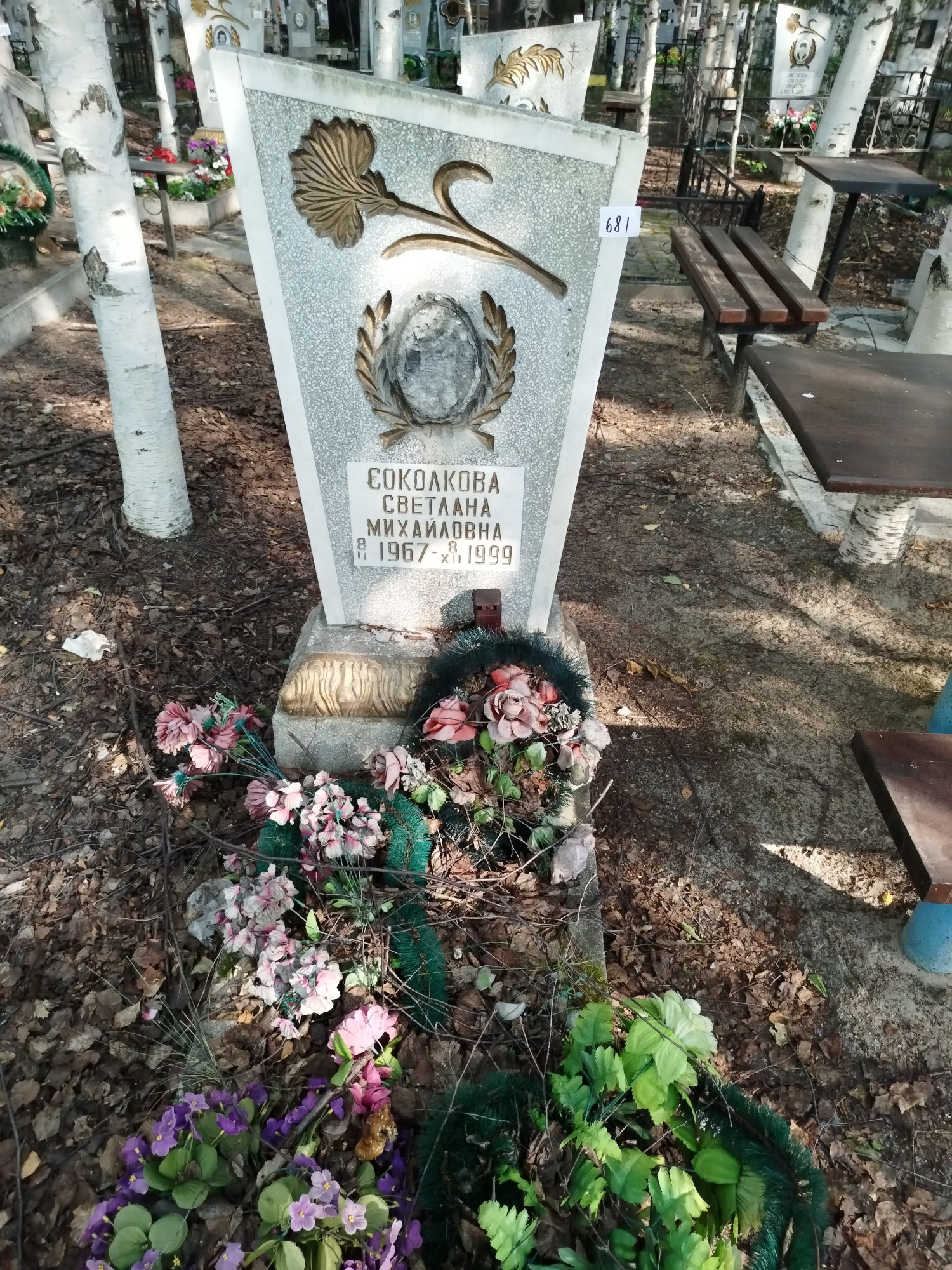 Соколкова Светлана Михайловна