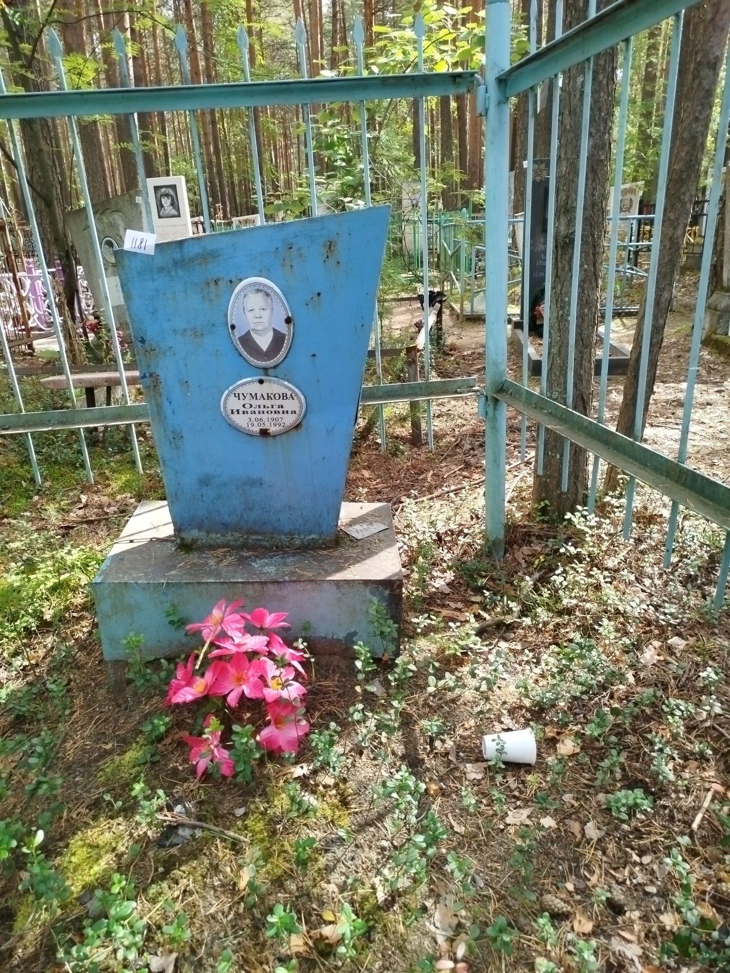 Чумакова Ольга Ивановна