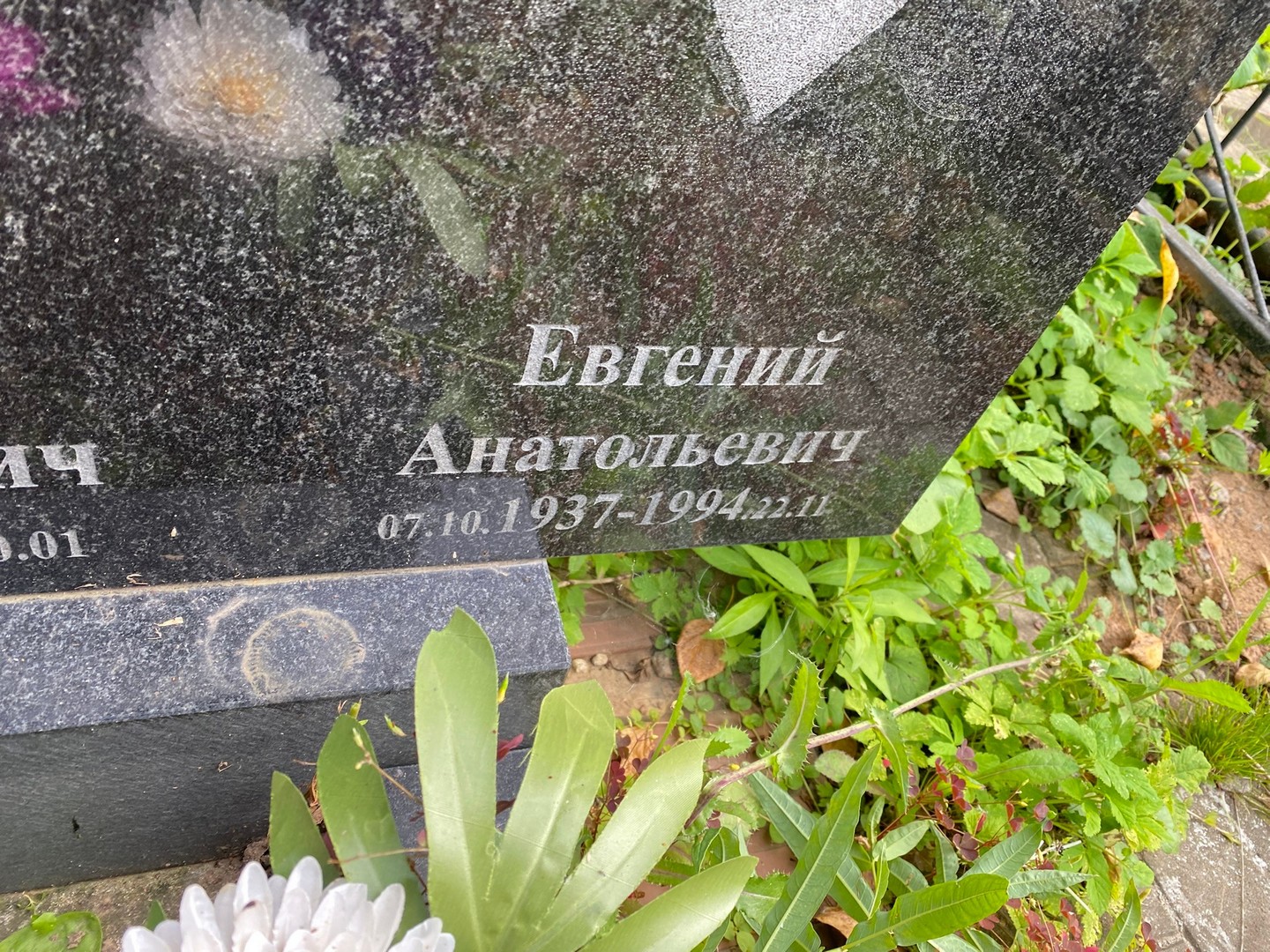 Волков