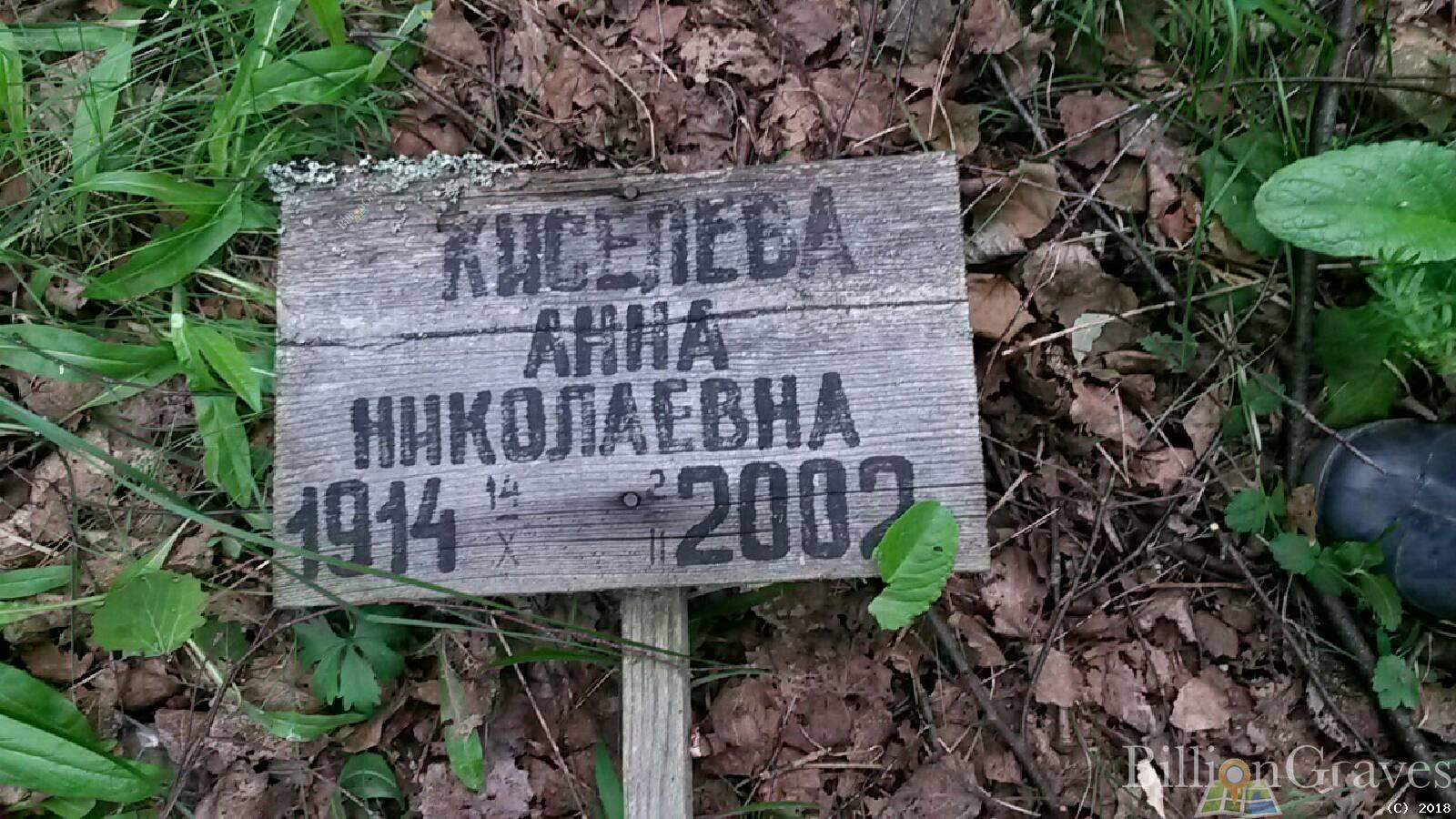 Киселева Анна Николаевна