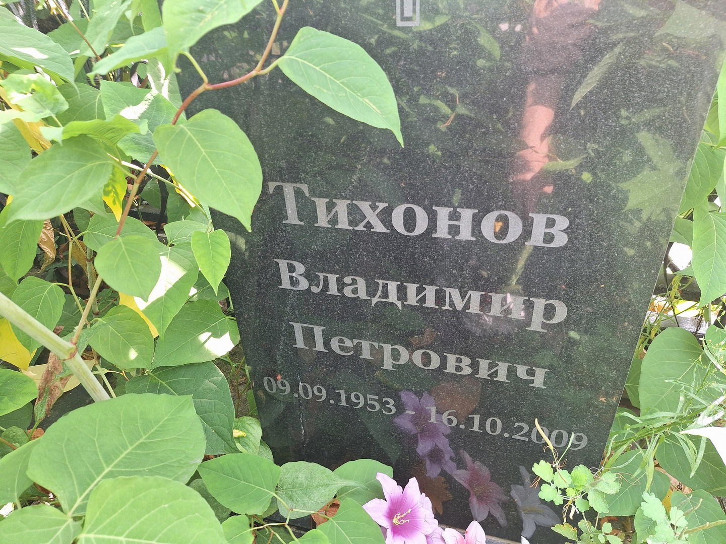Тихонов