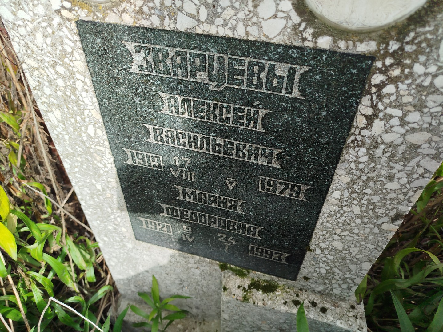 Зварцев
