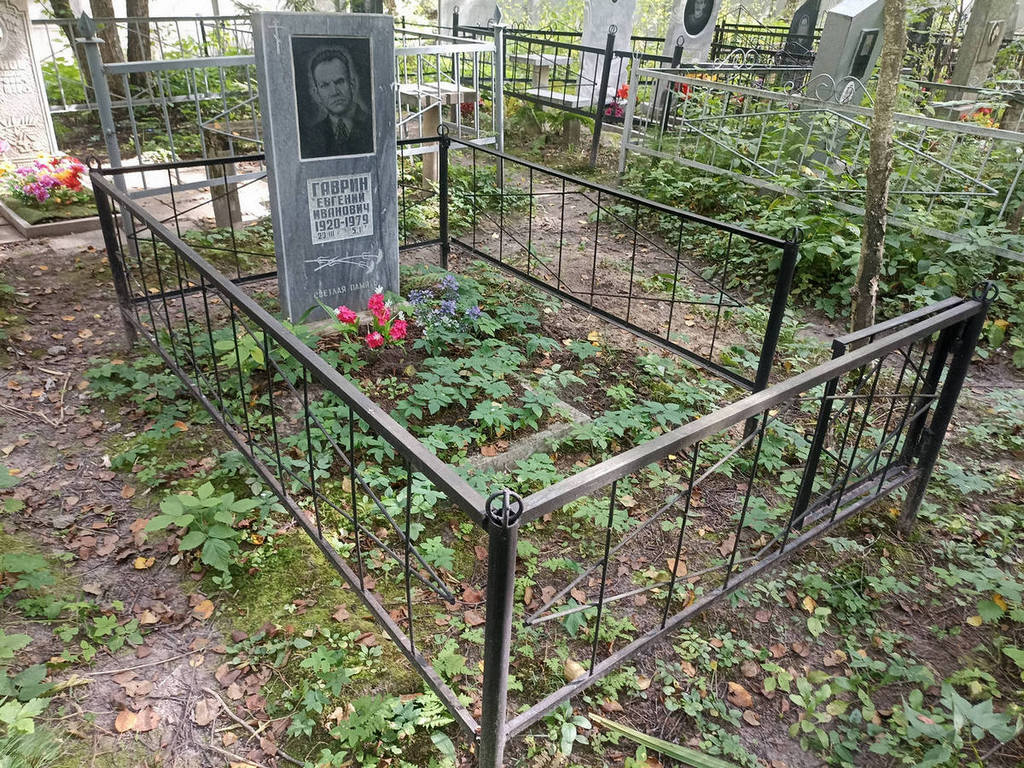 Гаврин Евгений Иванович