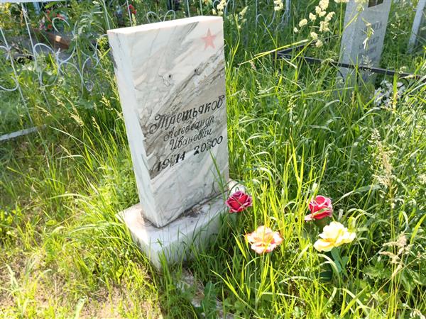 Третьяков Александр Иванович