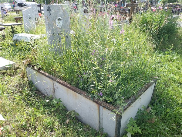 Полякова Людмила Ивановна