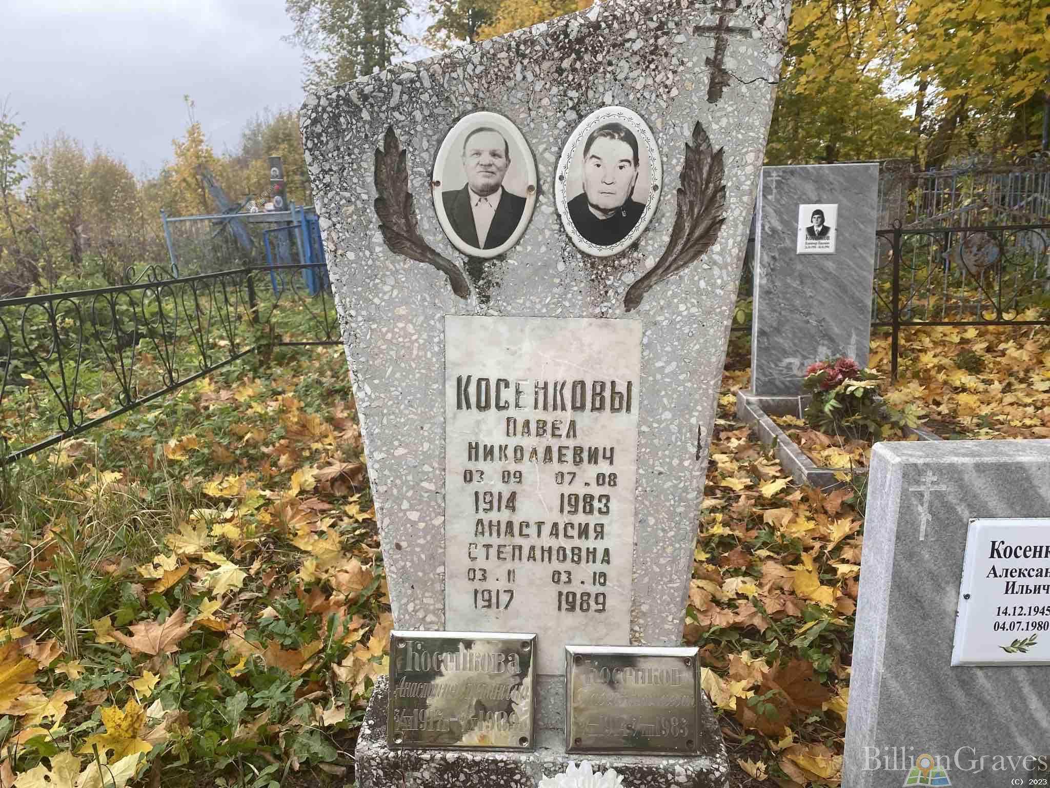 Косенкова Анастасия Степановна