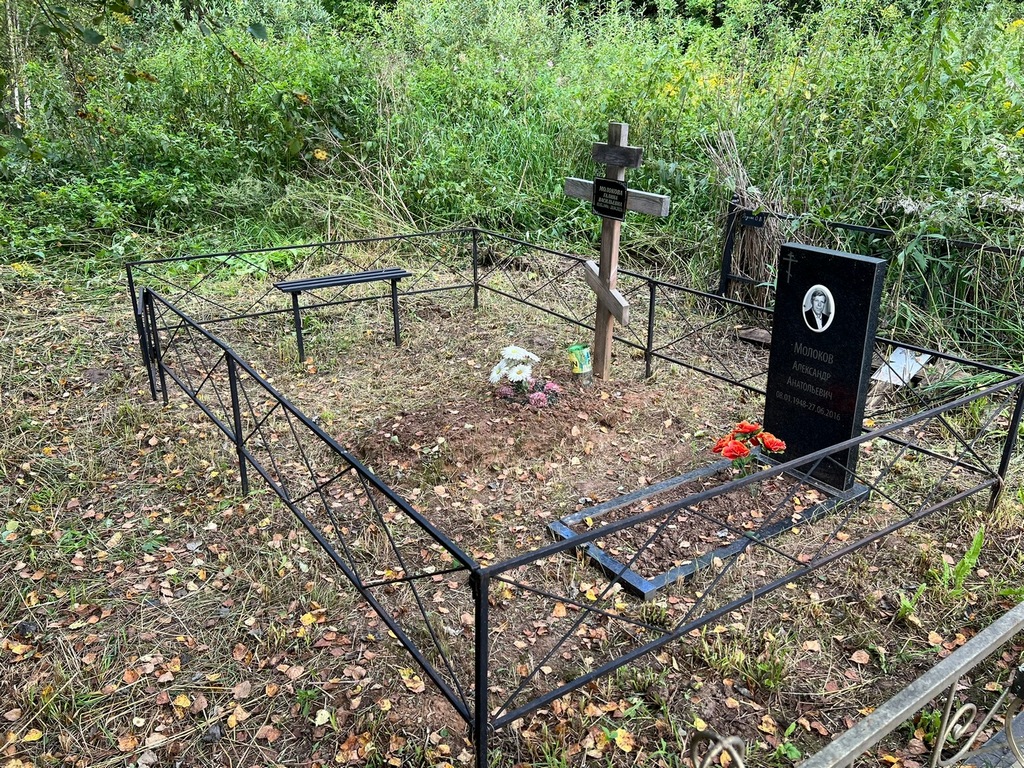 Молоков Александр Анатольевич