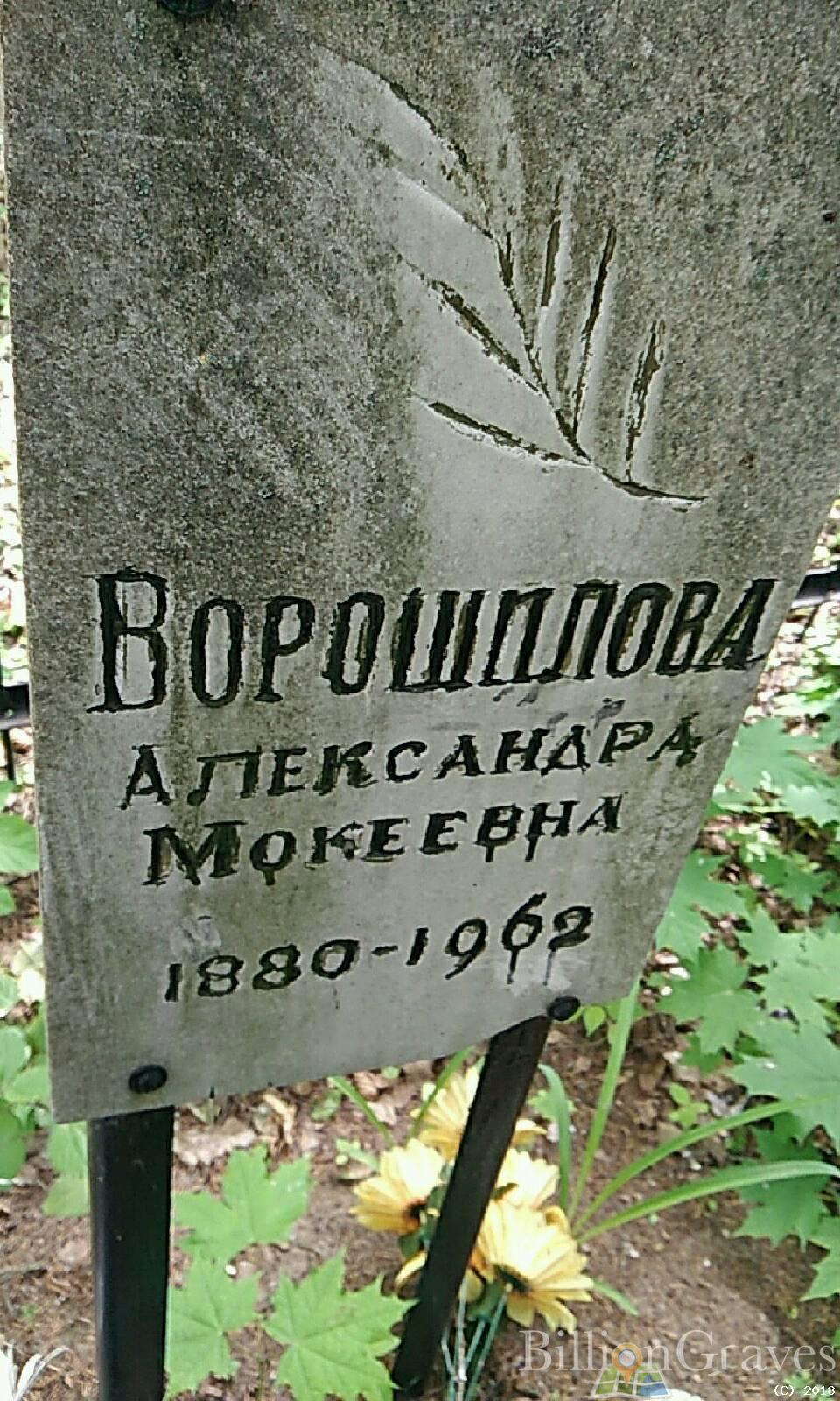 ворошилова тамара васильевна