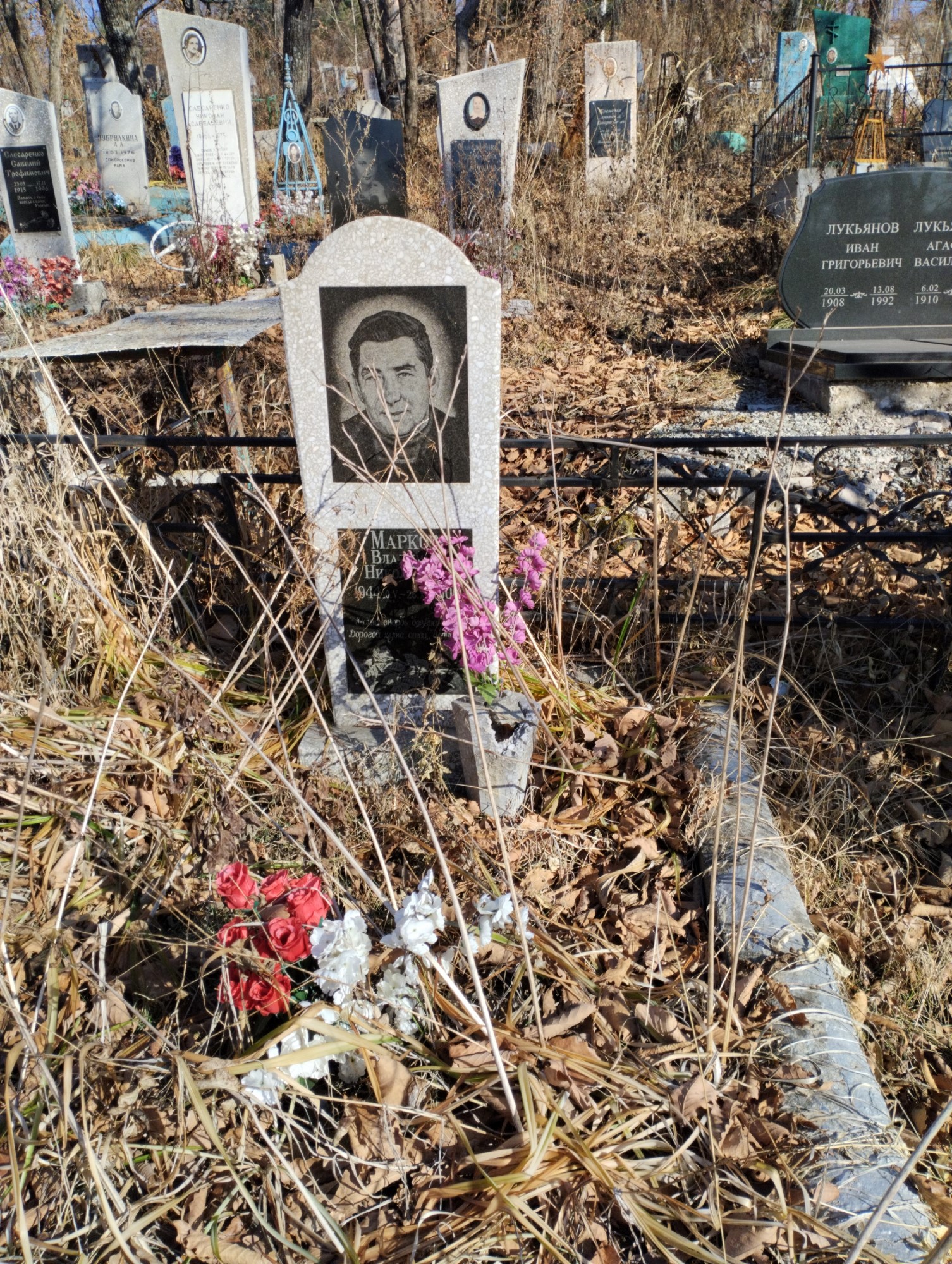 Марков Владимир Николаевич