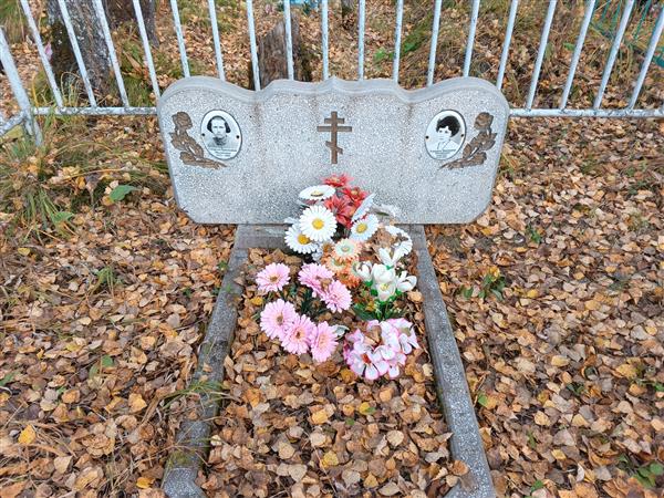 Боровых Виктория Иосифовна
