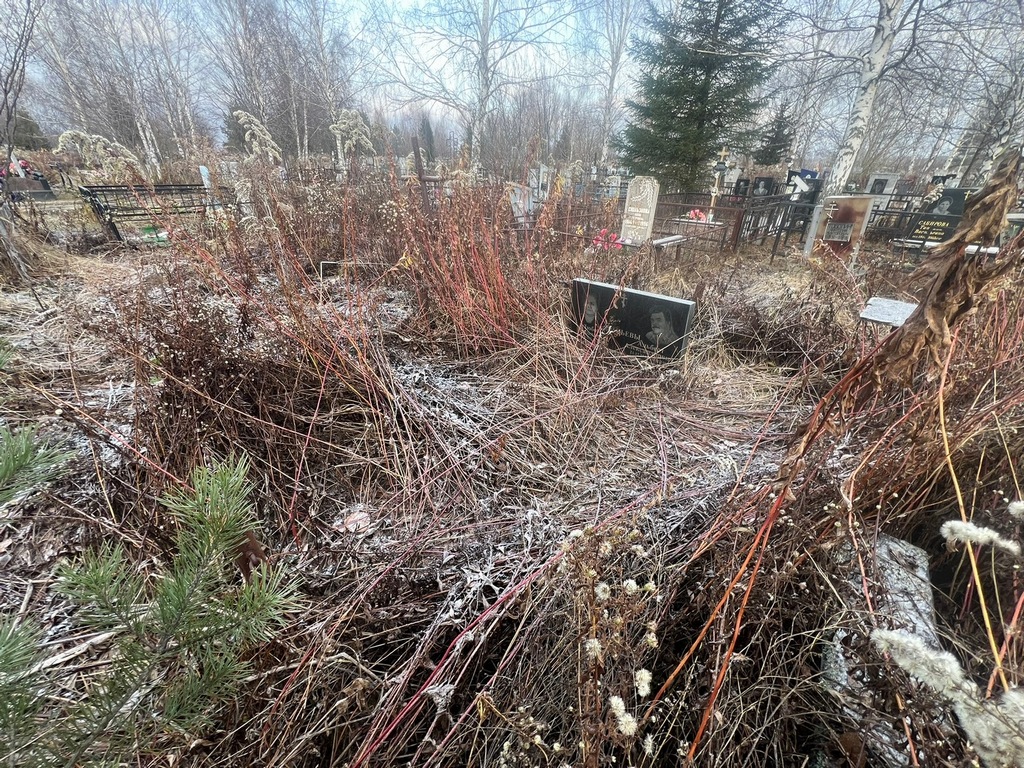 Акапьев Альберт Александрович