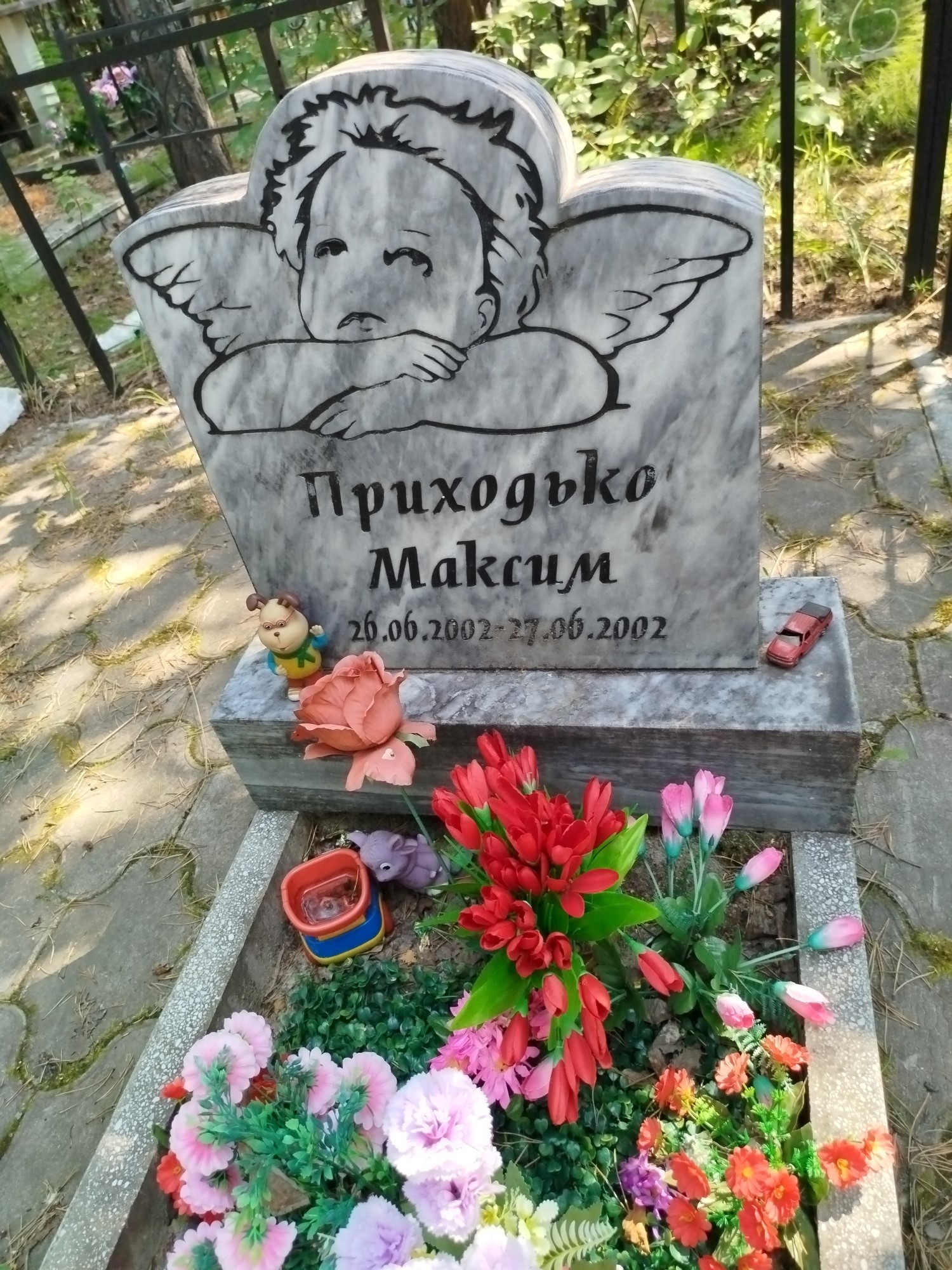 Приходько Максим